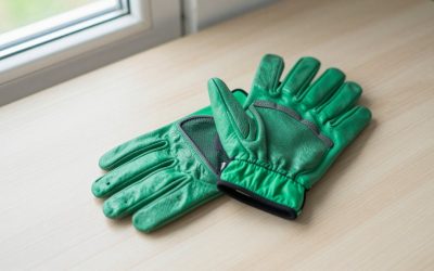 Best Motorcycle Gloves for 2026: Picks by Season and Style